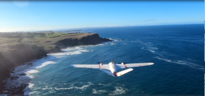 天捷力 小鹅 Mini goose 