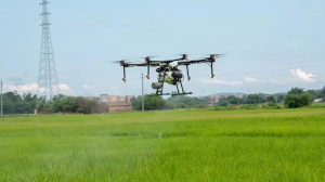 青岛将植保无人机纳入农机购置补贴 引导规范应用