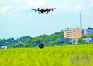 湘潭县：植保无人机提高种植户工作效率