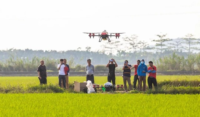 极飞 ——2021 扎根农业深耕耘 2022虎虎生威创卓越