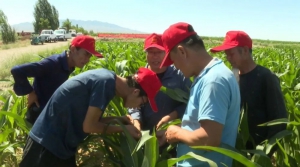 【感恩奋进新征程 建设美丽新宁夏·老区新貌】无人机飞防植保“飞”入寻常百姓家
