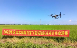 永吉县：植保无人机助力水稻增产增收