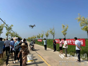 孝昌白沙镇：植保无人机 让农民“慧”种田
