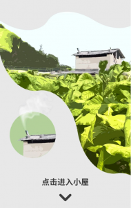 云南 | 烤烟是怎样炼成的？