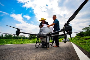 江西湖口：无人机植保助力夏粮丰产丰收
