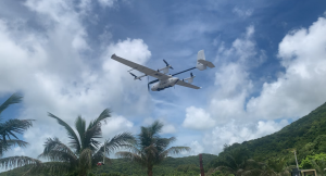 大鹏振翅荡海清，纵横驰骋守边宁