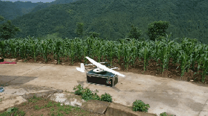 CW-15很香？全球的鹏友来回答~