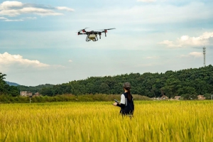 真正降低你的使用成本，首购续约都便宜