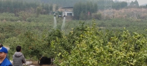 极目受邀参加广西象州柑橘春管技术交流会