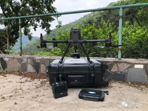 【典型案例】广东省某区域变色立木周期性监测报告