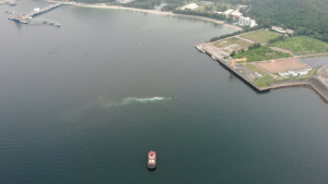 助推大湾区科技协同发展，广东省科学院周成虎院士团队与香港港灯集团达成合作