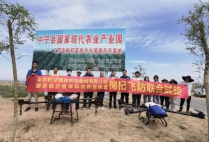 安阳全丰航空参与2023年国家航空植保科技创新联盟“测试植保无人机施药对枸杞的安全性和病虫害防治效果”飞防联合示范试验