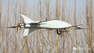 听说喜欢仰望天空的人都很温柔