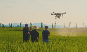 十年创新，开创全自主作业时代