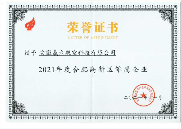 2021年度合肥高新区雏鹰企业