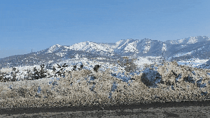 助力警务！致导科技参加威海市公安局首届低空警务先进装备展示交流活动