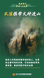 春节护林防火记心头，航景无人机森防系统来助力