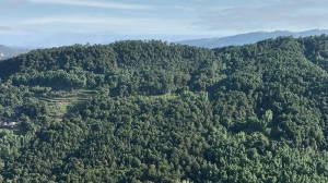 无人机加持，助力森林防火“打早、打小、打了”！