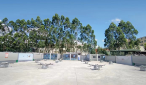 国家邮政局党组书记、局长赵冲久带队调研丰翼科技