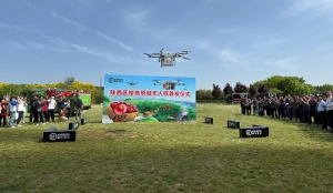 零的突破 | 丰翼无人机助力陕西樱桃运输