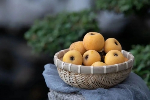 吃货福音 | 丰翼无人机助力苏州枇杷从田间到舌尖再次提速，半日鲜达江浙沪！