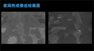 西溪湿地无人机上空盘旋巡逻，昊舜视讯无人机智能巡检系统赋能生态环境保护