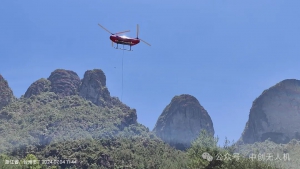 《科技助力，守护山林：大载重无人机助力林业防治病虫害》