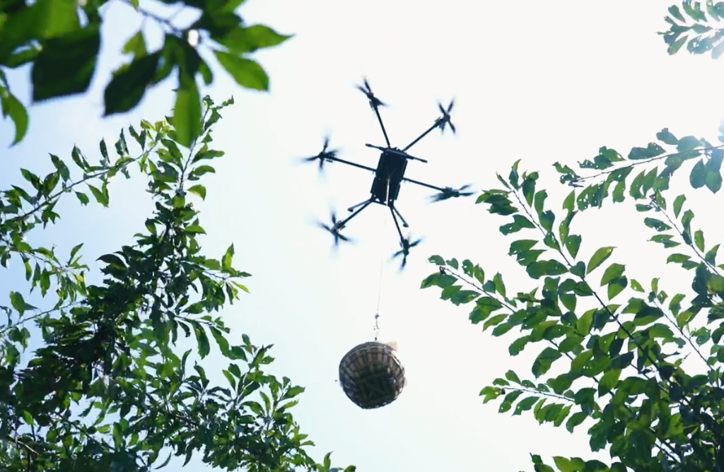 科技向善 | 丰翼无人机为重庆巫山受灾果农免费空运脆李