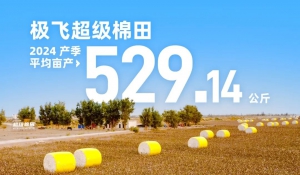 极飞超级棉田迎丰收，亩产超 529 公斤！