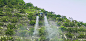 行业首次！极目机器人在首届睿抗（杨凌）全球农业机器人应用赛中荣获“巅峰创新奖”