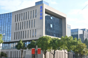 国际标准赋能：《光伏电站无人机系统监测IEEE标准》会议在星逻召开