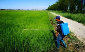 与人工打药相比，植保无人机打药优势显著！