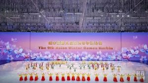 护航亚冬盛会｜中科云图无人机遥感网全力保电通路