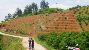 晒出你的极目“神操作”，赢万元大奖！