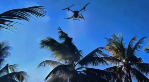 轩孚油混无人机革新虫害防治！印度200万椰树迎转机！