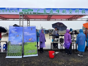 就是今天！春天，真的来了