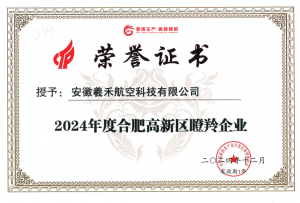 2024合肥高新区瞪羚企业