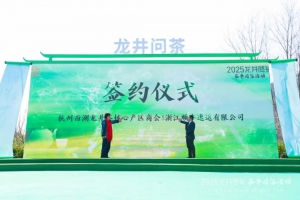 开采进入倒计时！顺丰与杭州西湖龙井茶核心产区商会签订合作协议