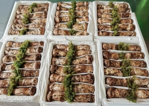 松茸季来了！顺丰全力护航高品质松茸鲜达千家万户