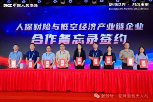 人保集团 &“驼峰重载联盟