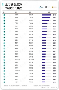 赋能沈阳低空经济腾飞：无距科技助力沈阳跻身全国十强！