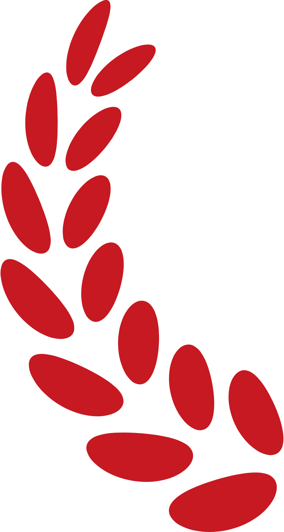 中科云图荣膺“2025地理信息产业百强企业”，引领低空地理信息产业创新发展