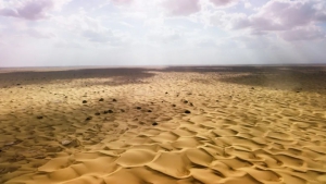 700多个极飞智能电动阀，“种”在干旱的塔克拉玛干沙漠上