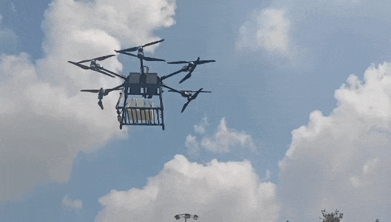 大圩葡萄“乘”飞机，硬核科技“保”鲜甜