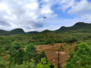 贵阳玉米“坐”上无人机