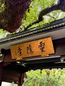 玄风团队团建之2025-桐庐